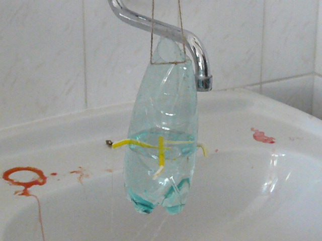 P1020284